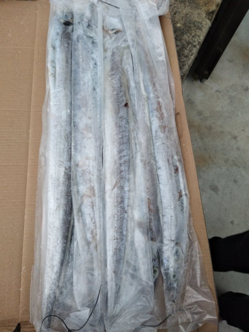 油带鱼条冻带鱼套袋