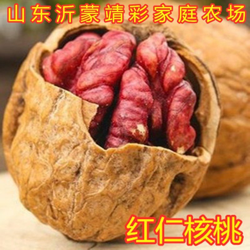 红仁核桃苗红仁核桃树苗嫁接薄皮核桃树苗南北方种植