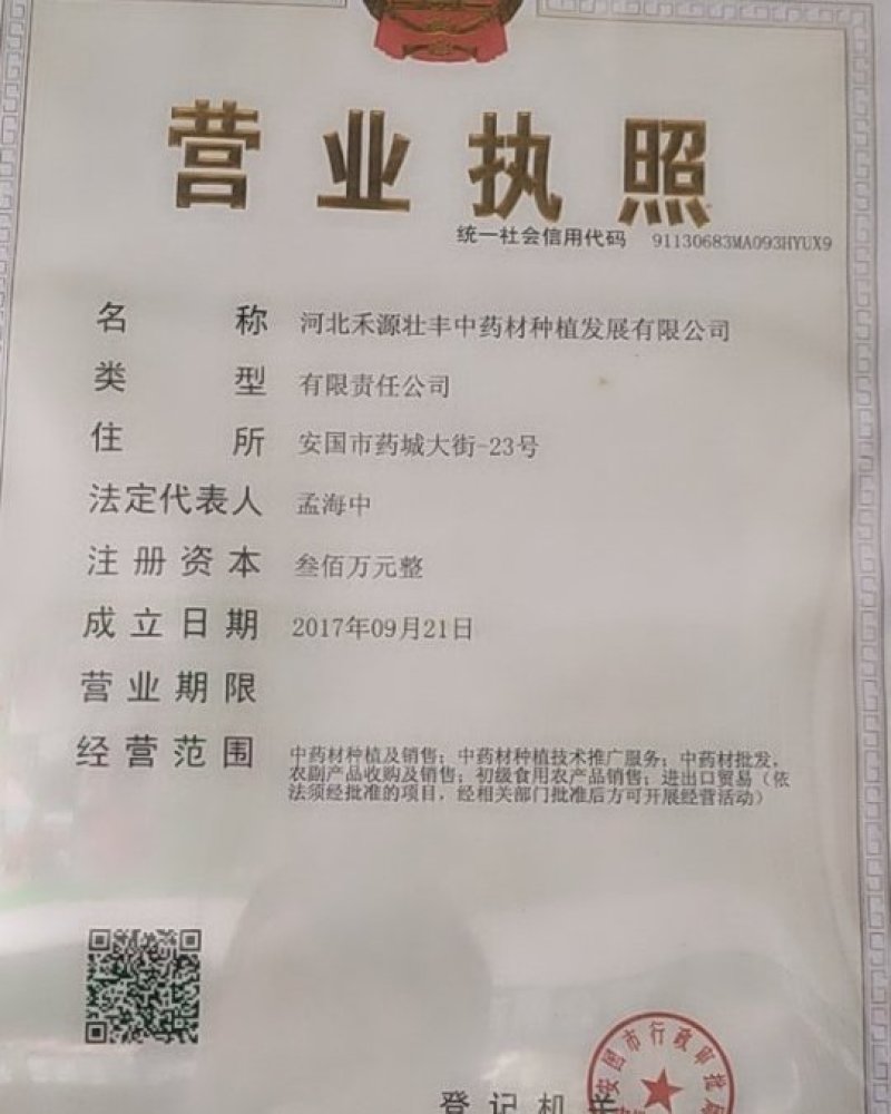 出售大量河北保定优质半夏种苗自产自销！质量保证品种优良