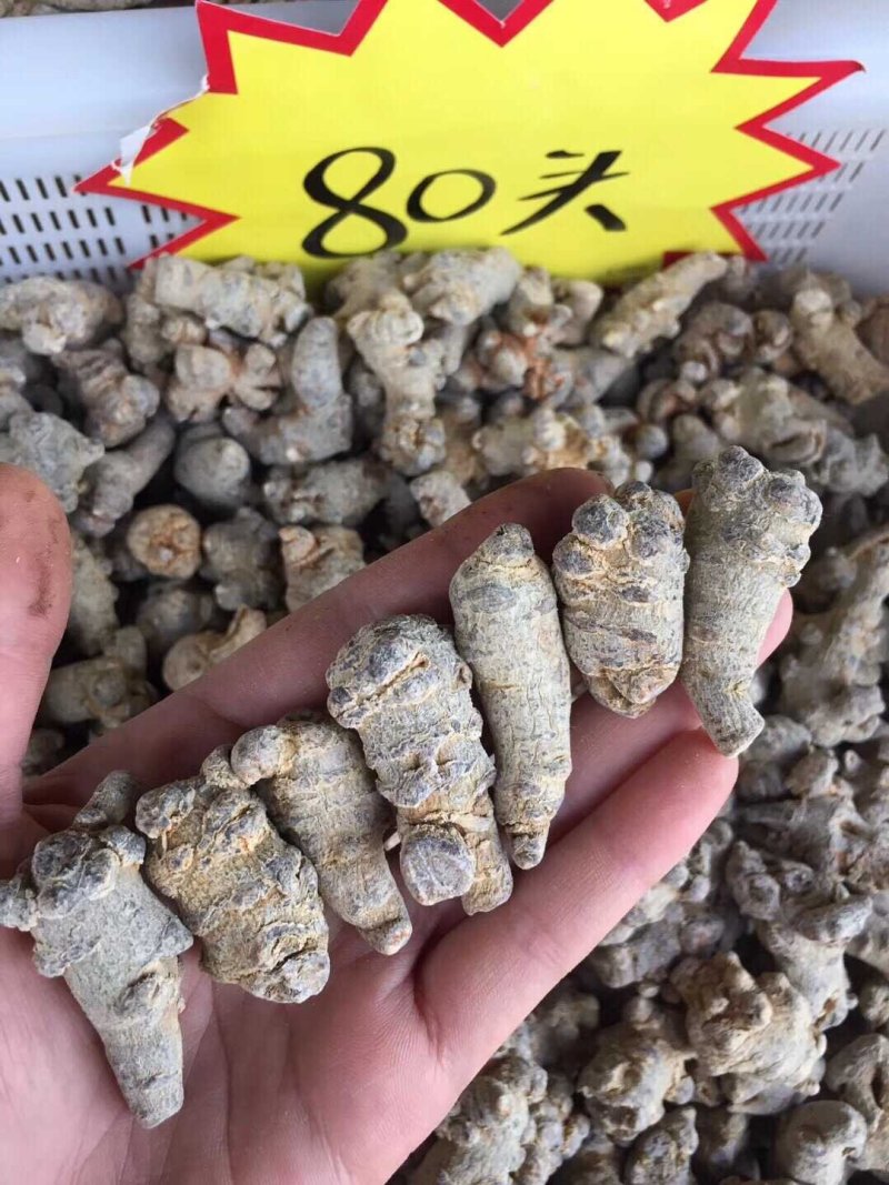 【一斤包邮】云南文山三七足20头30头品质保证产地直销