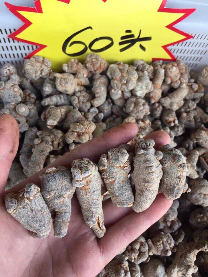 【一斤包邮】云南文山三七足20头30头品质保证产地直销