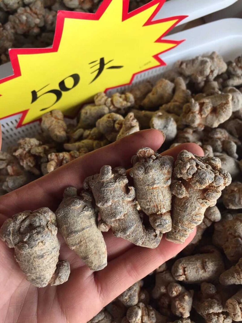 【一斤包邮】云南文山三七足20头30头品质保证产地直销