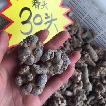 【一斤包邮】云南文山三七足20头30头品质保证产地直销