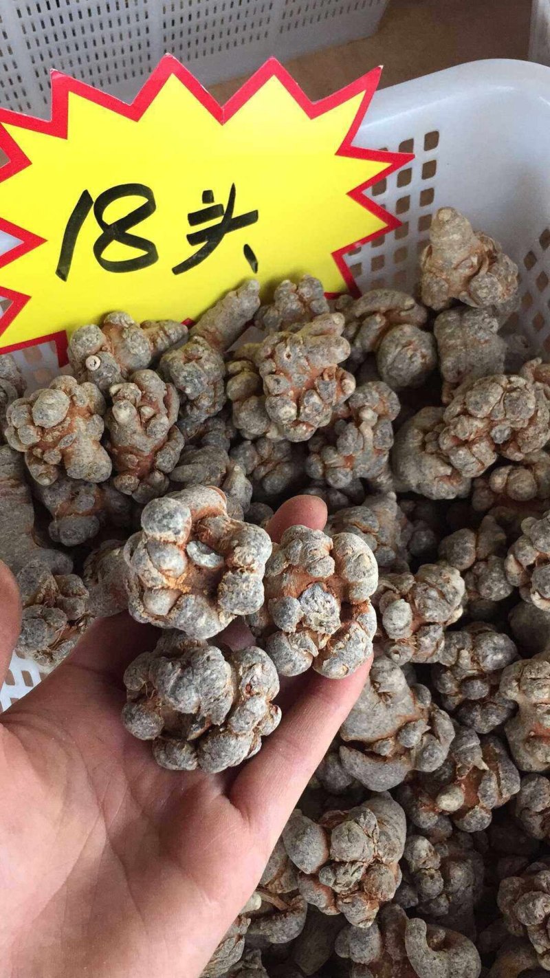 【一斤包邮】云南文山三七足20头30头品质保证产地直销