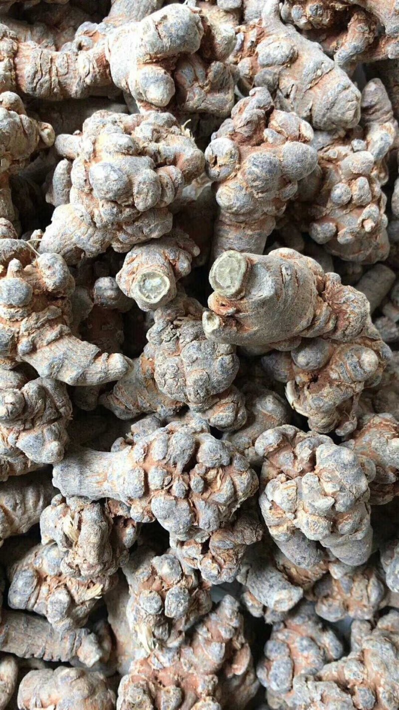 【一斤包邮】云南文山三七足20头30头品质保证产地直销