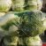 大白菜，精品大白菜大量上市