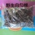 长白山野生白芍净根毛货