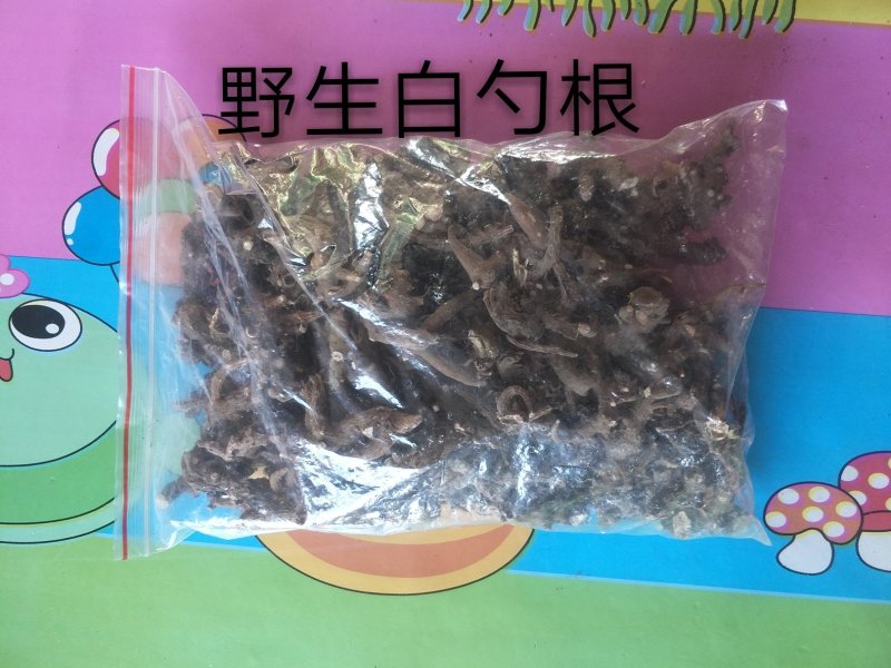长白山野生白芍净根毛货
