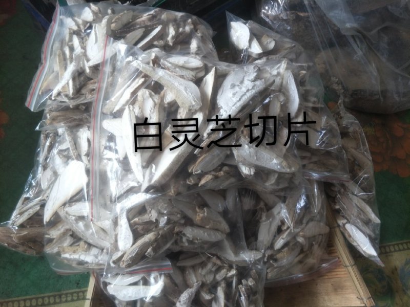 长白山野生白灵芝玉芝选货