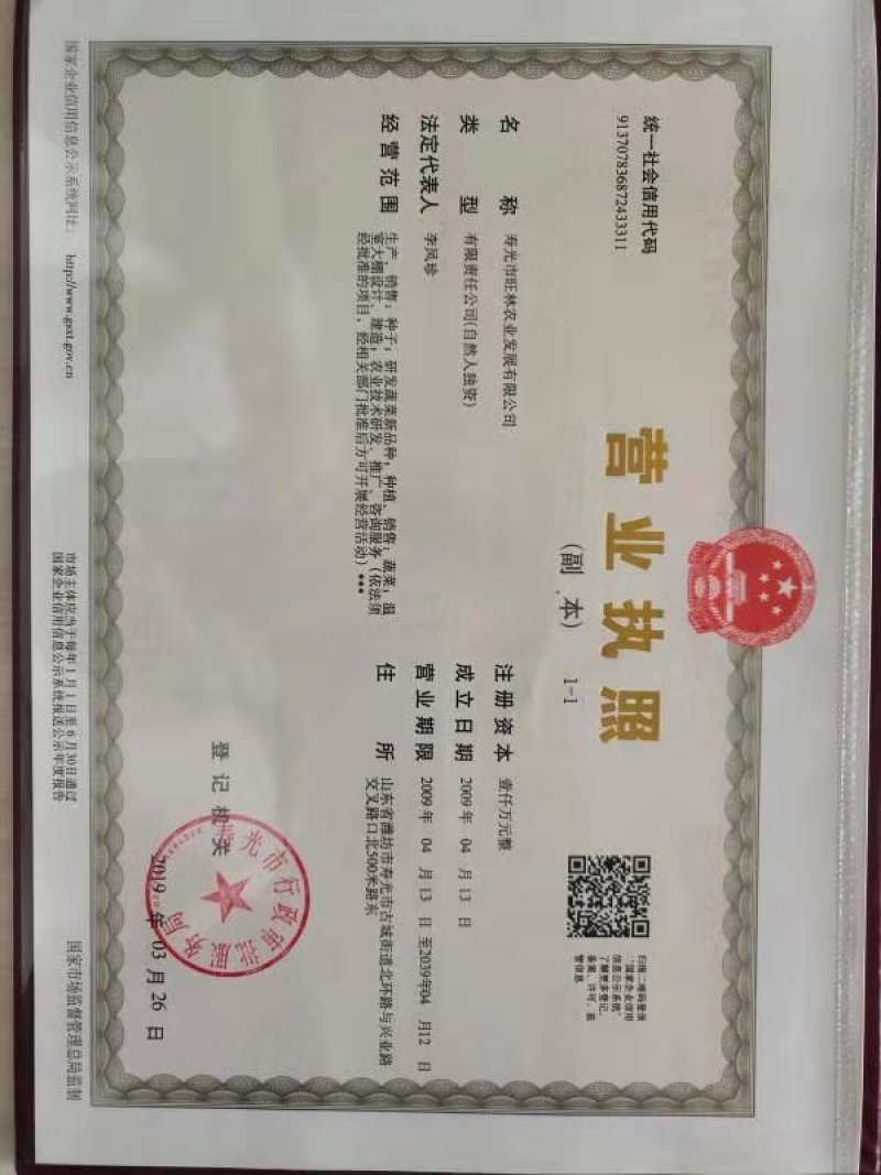 乾德圣德番茄种子1000粒/袋大果抗TY易坐果果型周正