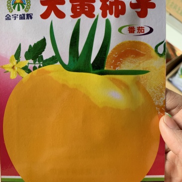 【买二送一】大黄柿子大黄番茄酸甜可口