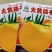 【买二送一】大黄柿子大黄番茄酸甜可口