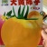 【买二送一】大黄柿子大黄番茄酸甜可口