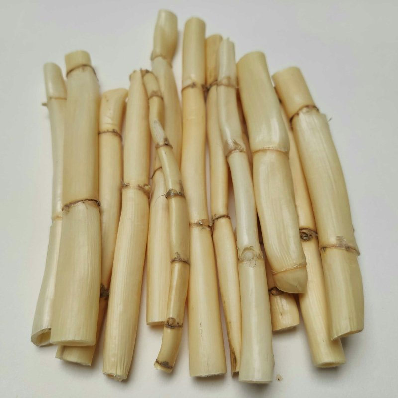 鲜野生芦苇根，现挖现发货，质量及好