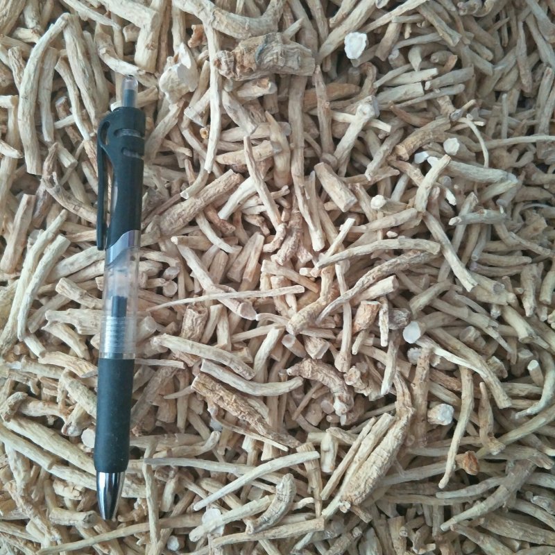 长白山花旗参粗腿西洋参西洋参丁(包邮)可免费打粉