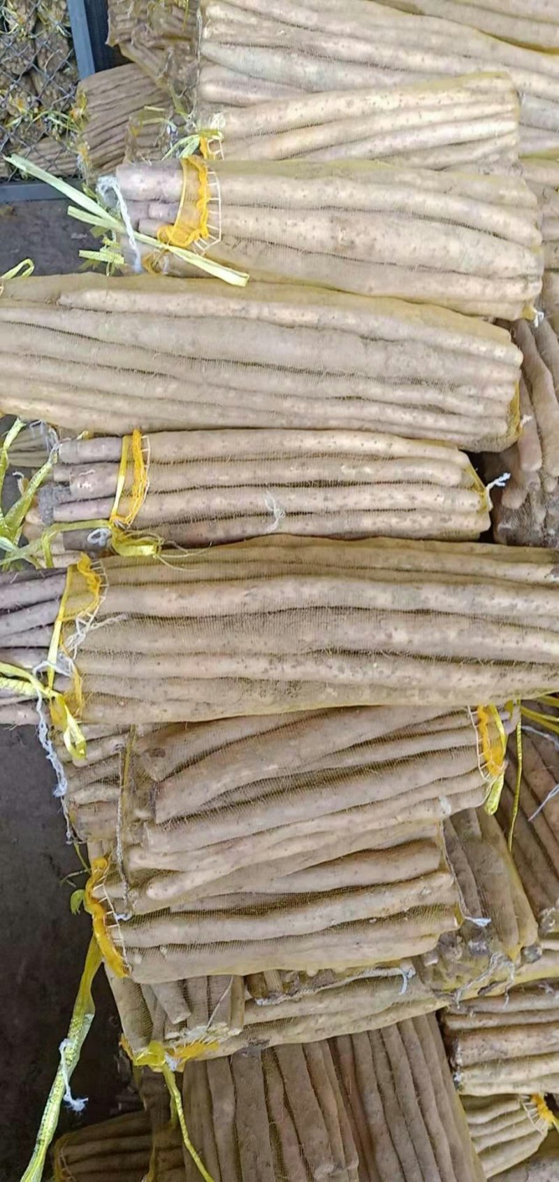 河北精品山药，品质保证，产地直销，价格实惠，规格齐全