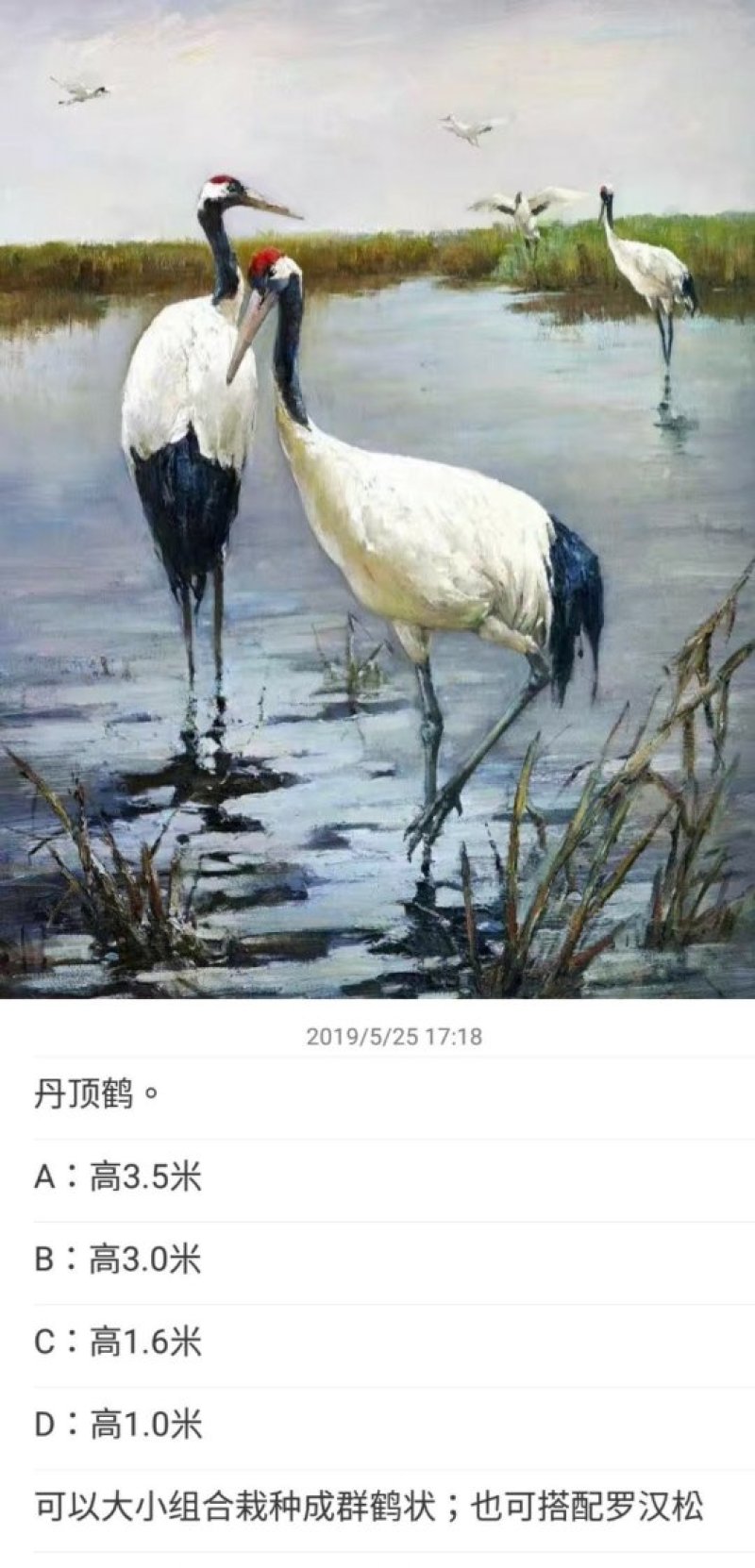 紫薇紫薇编艺仙鹤编艺大量供应紫薇编艺