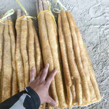 河北保定蠡县产地直发，加工网贷，箱货，各种规格