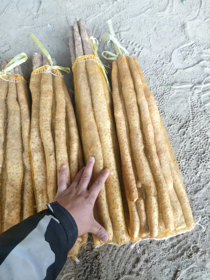 河北保定蠡县产地直发，加工网贷，箱货，各种规格