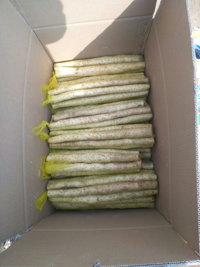 河北保定蠡县产地直发，加工网贷，箱货，各种规格