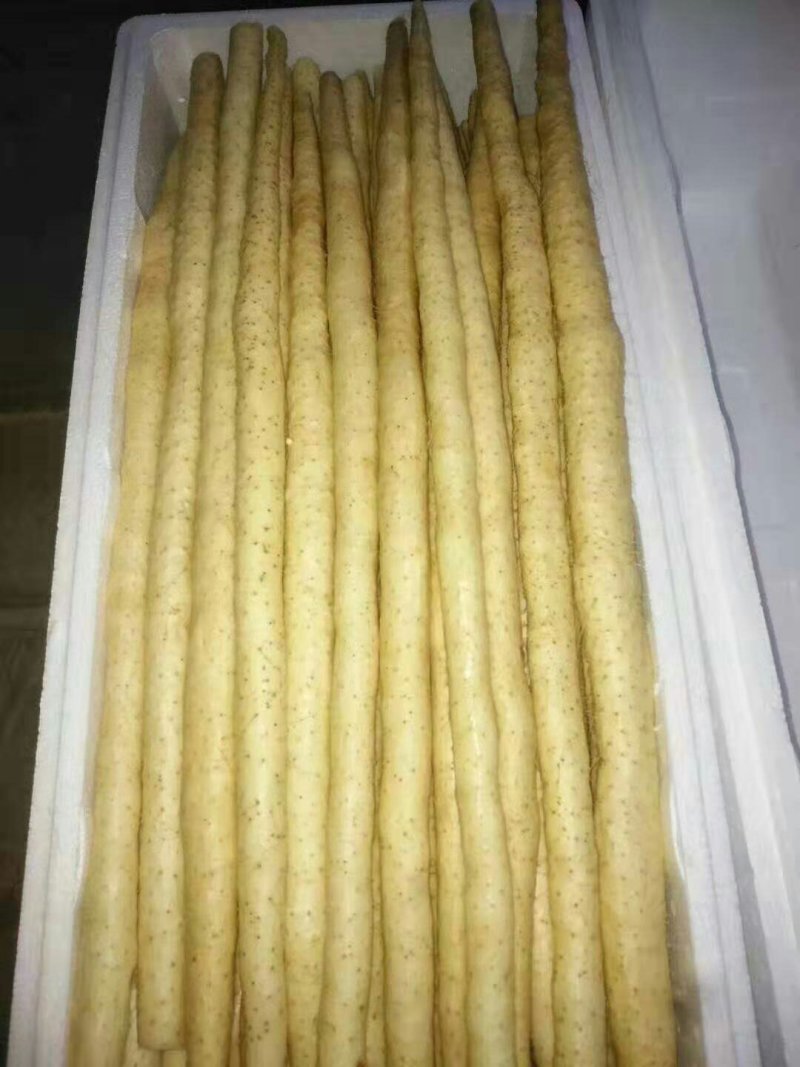 一件代发，精品小白嘴山药，礼盒装正宗送礼优选