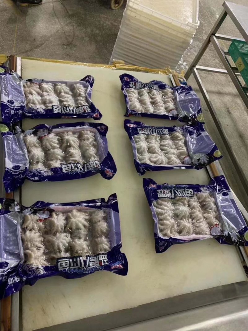 盐磨八爪鱼