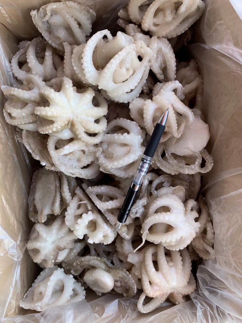 盐磨八爪鱼