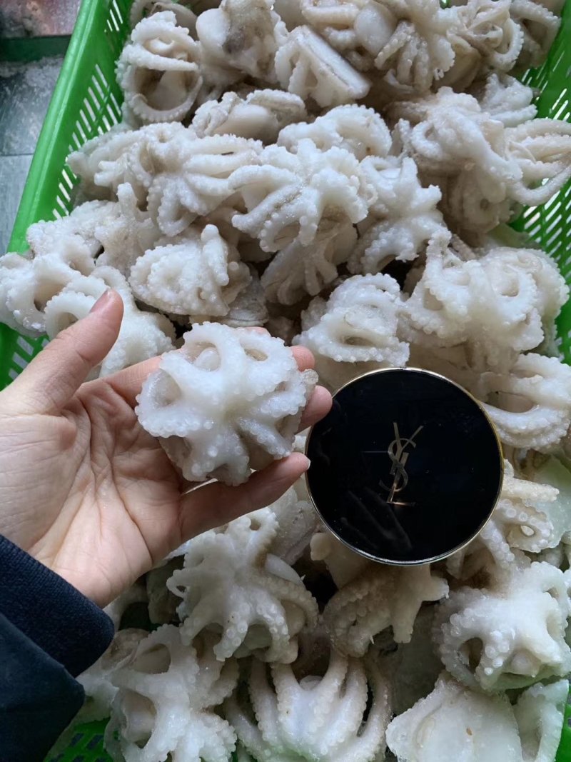 盐磨八爪鱼