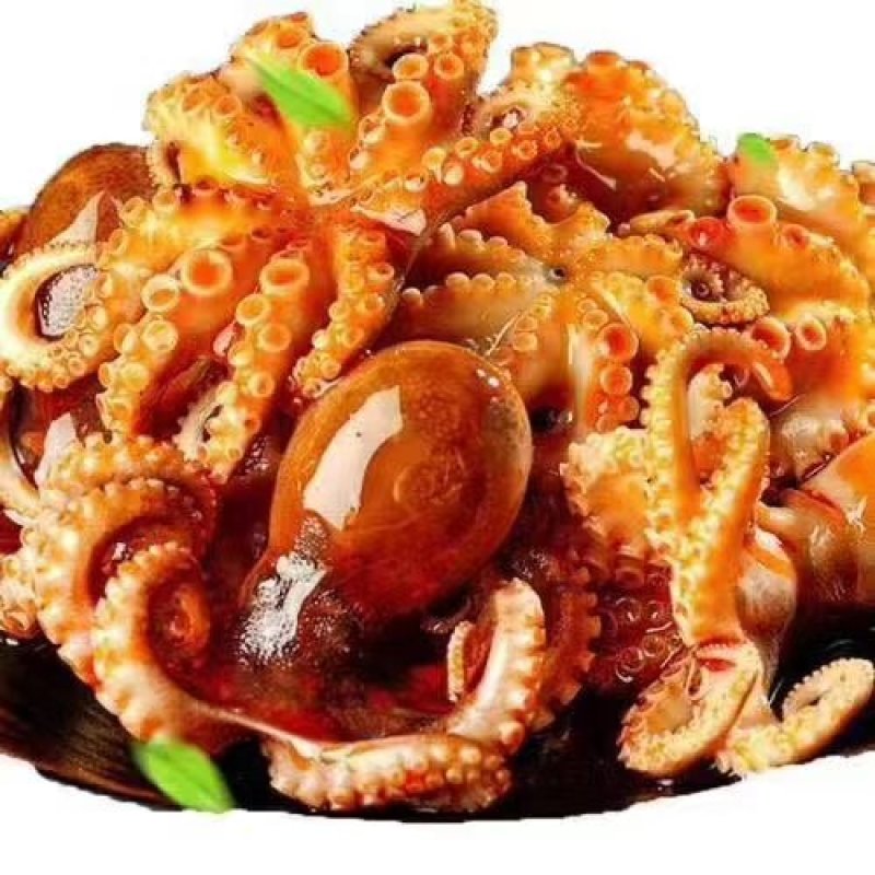 盐磨八爪鱼