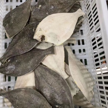 冻鲽鱼