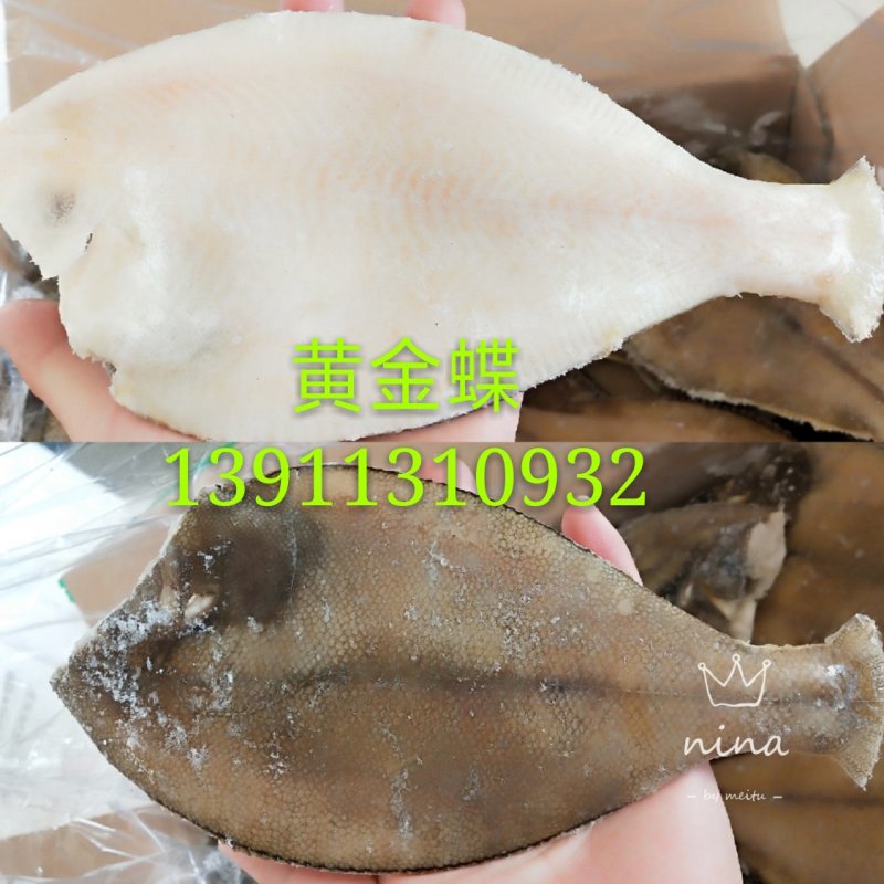 冻鲽鱼