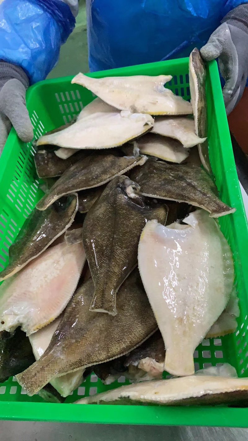 冻鲽鱼