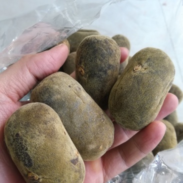 橘红，五年陈正毛化橘红，产地直供，假一赔十