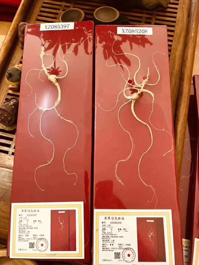 林下山参礼盒，配带鉴定证书，80一套包邮