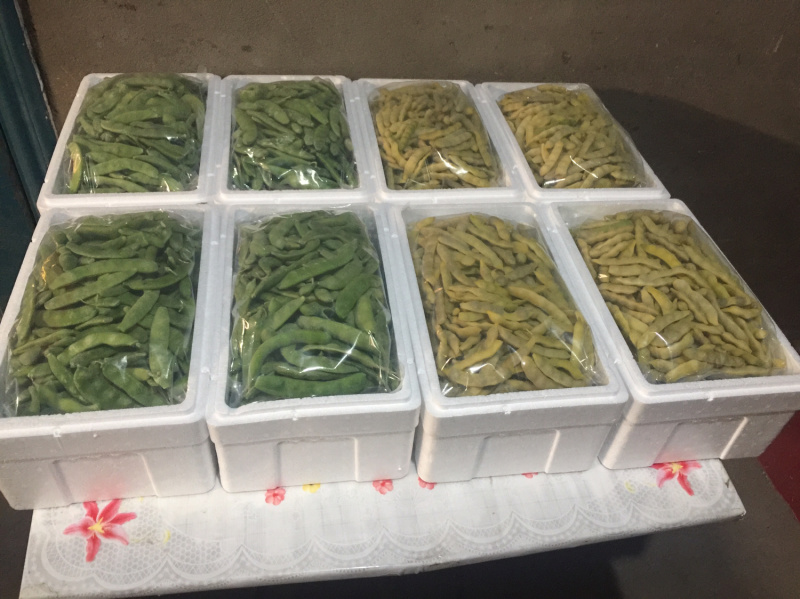 速冻东北特产吉林小油豆角口感新鲜家常味道