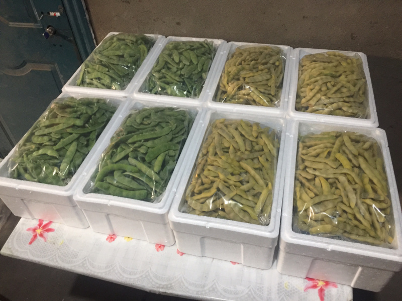 速冻东北特产吉林小油豆角口感新鲜家常味道