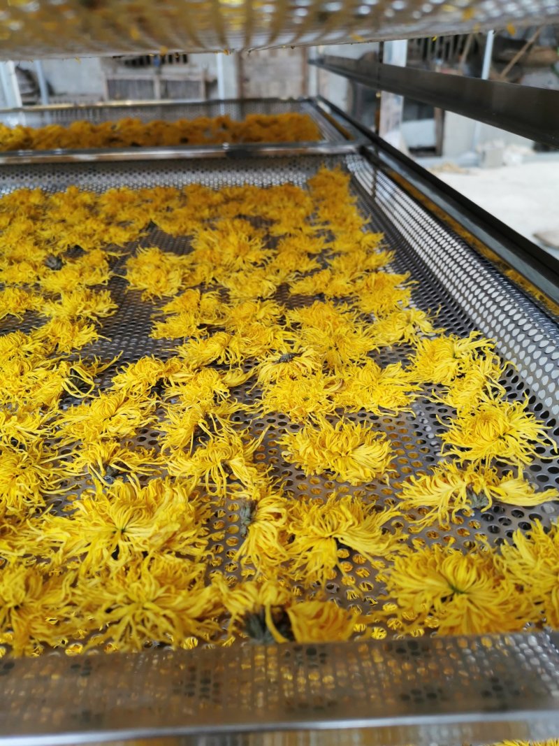 恩施富硒金丝皇菊优质农产品