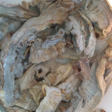 毛笋干