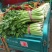 芹菜西芹50cm以上质量好货源充足
