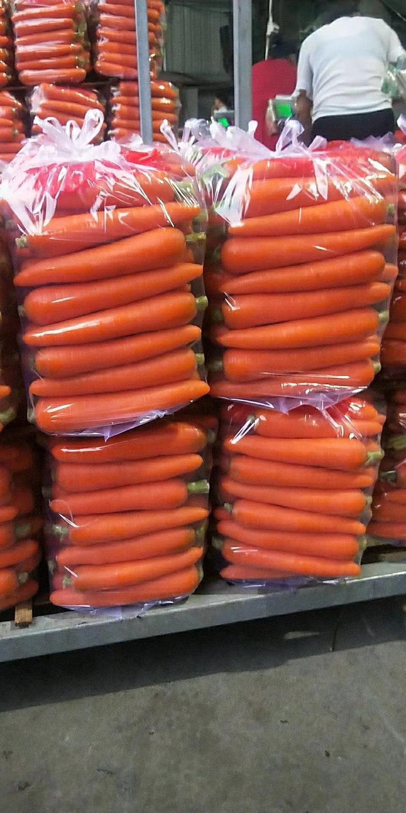 【热卖中】精品胡萝卜，现摘现发，保质保量可对接商超市场