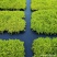 新型生态果树地布防草布除草布地膜抑草遮光透气耐用农用果园