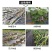 新型生态果树地布防草布除草布地膜抑草遮光透气耐用农用果园