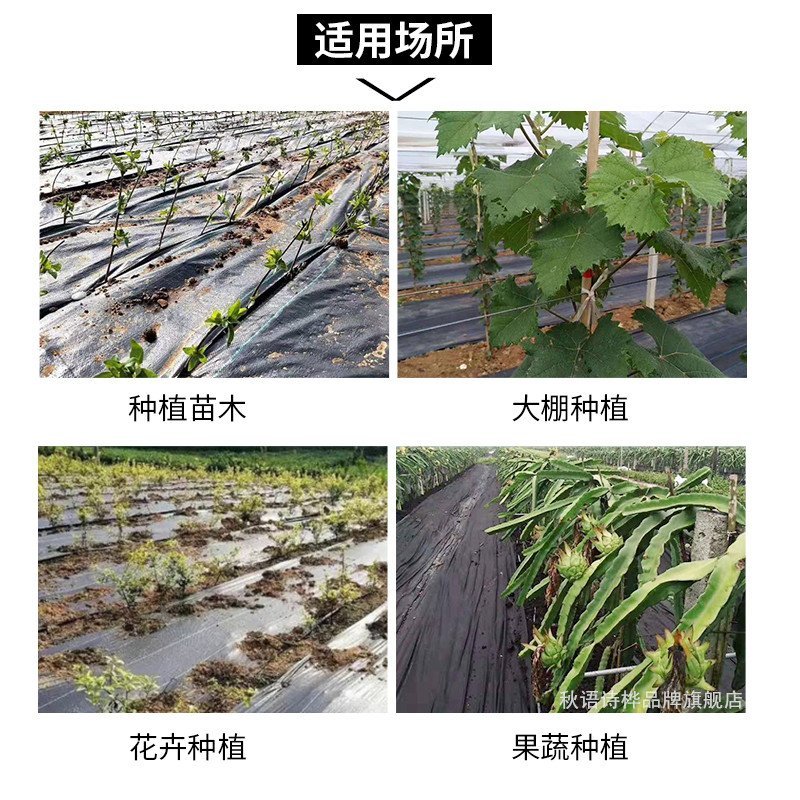 新型生态果树地布防草布除草布地膜抑草遮光透气耐用农用果园