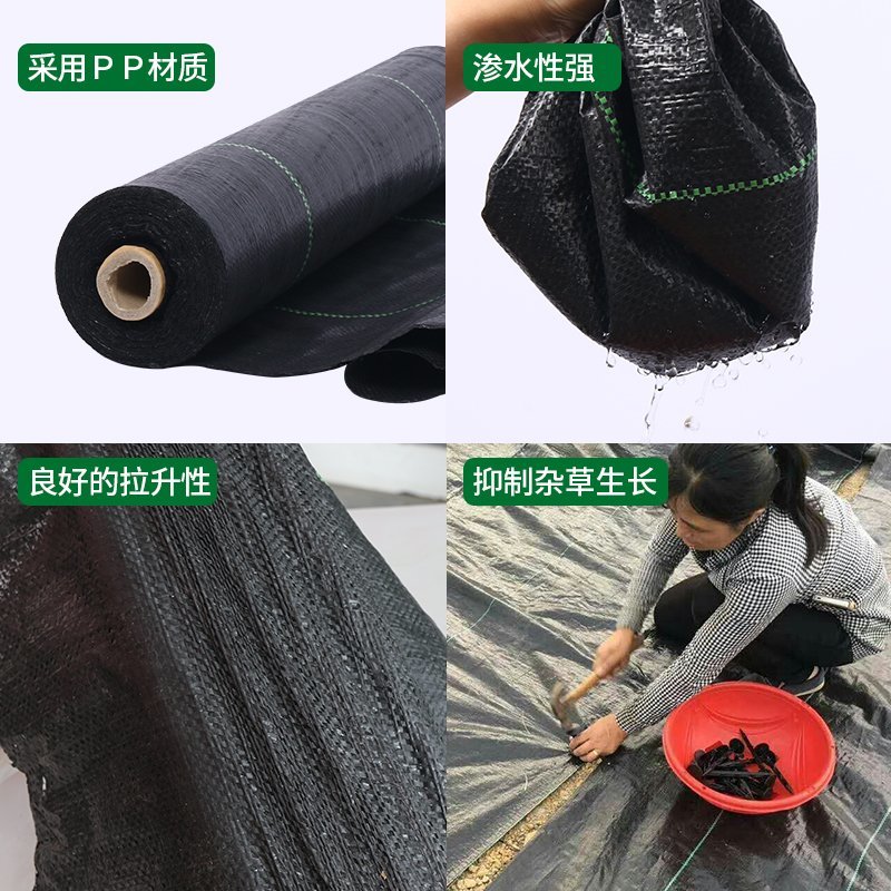 新型生态果树地布防草布除草布地膜抑草遮光透气耐用农用果园
