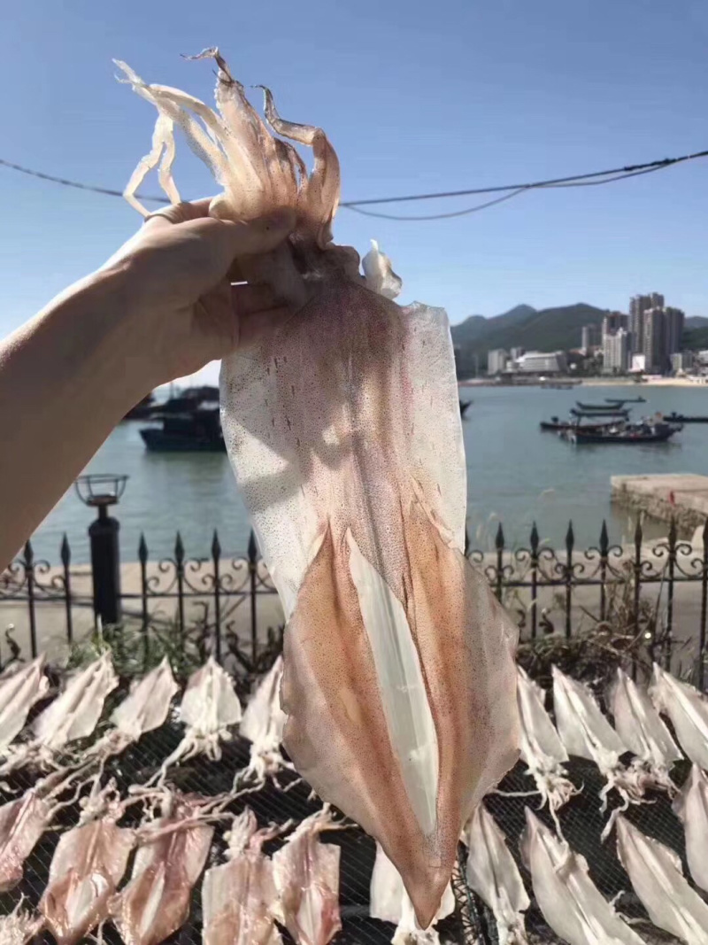 广东南澳岛农村人精心制作，优质鱿鱼干，海船深海捕捞，欢迎订购