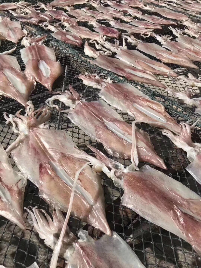 广东南澳岛农村人精心制作，优质鱿鱼干，海船深海捕捞，欢迎订购