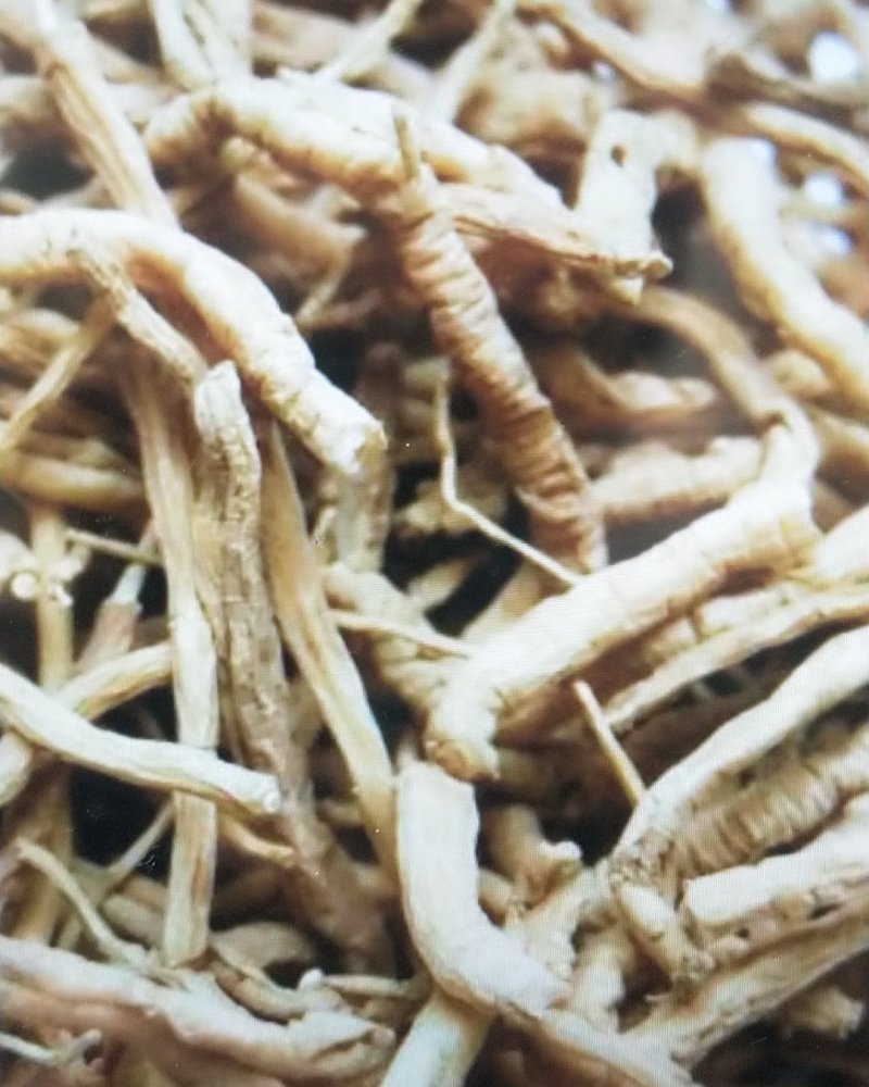 中药材抽芯率高远志远志肉新货无硫支