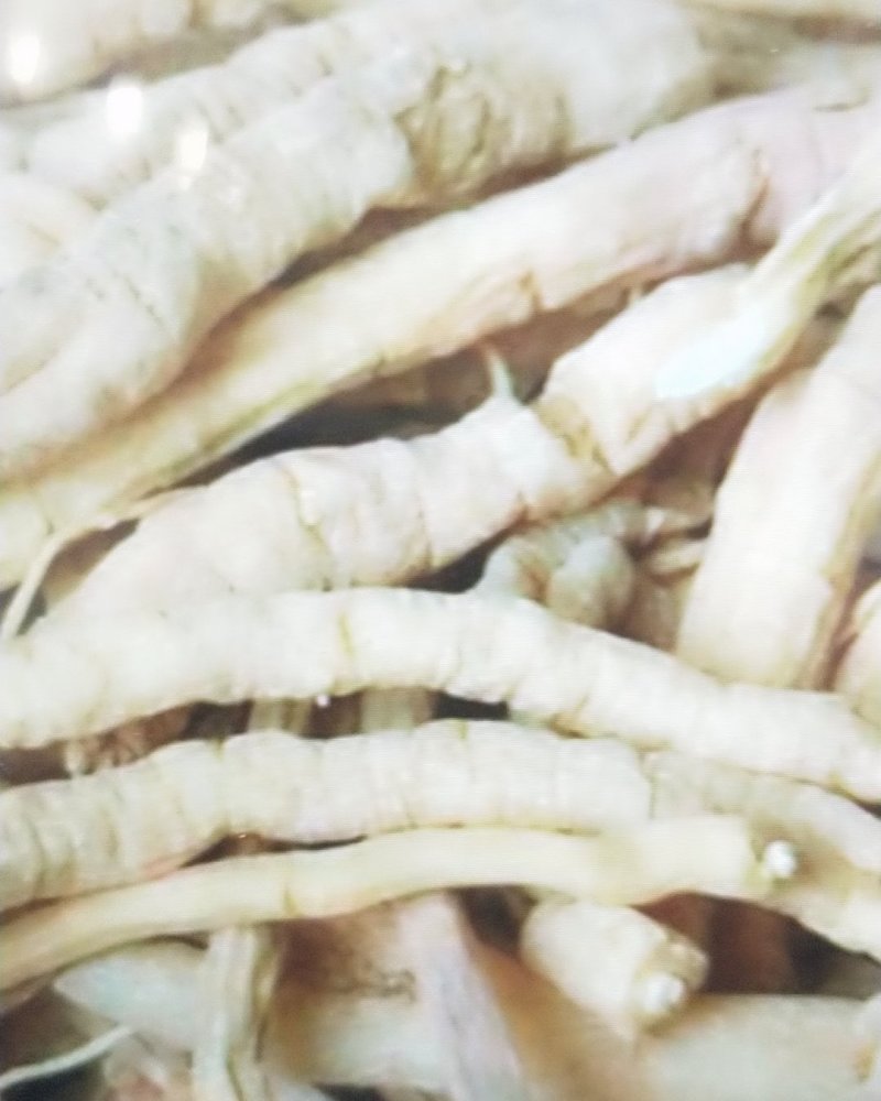 中药材抽芯率高远志远志肉新货无硫支