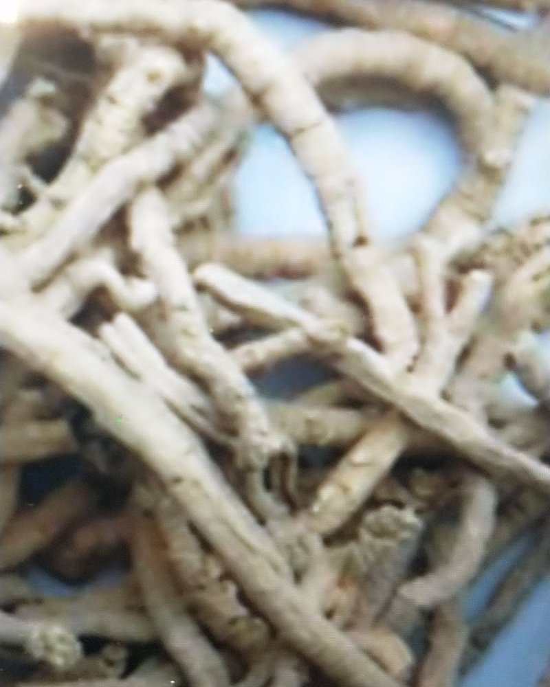 中药材抽芯率高远志远志肉新货无硫支持药
