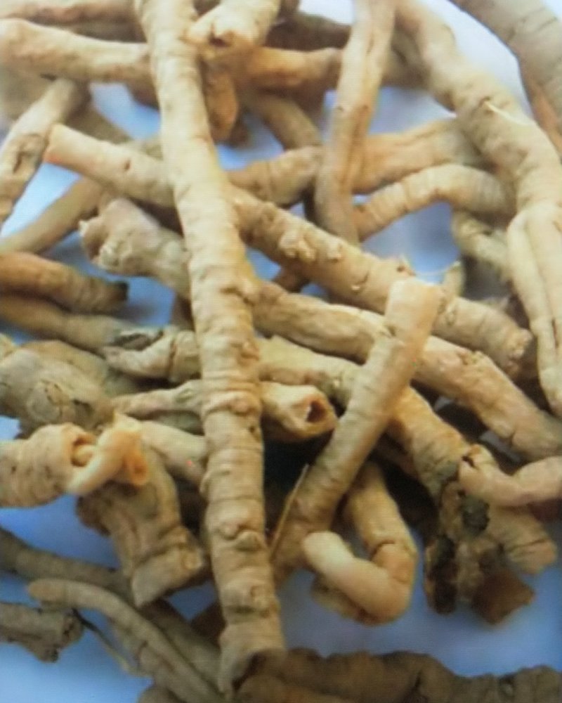 中药材抽芯率高远志远志肉新货无硫支持药